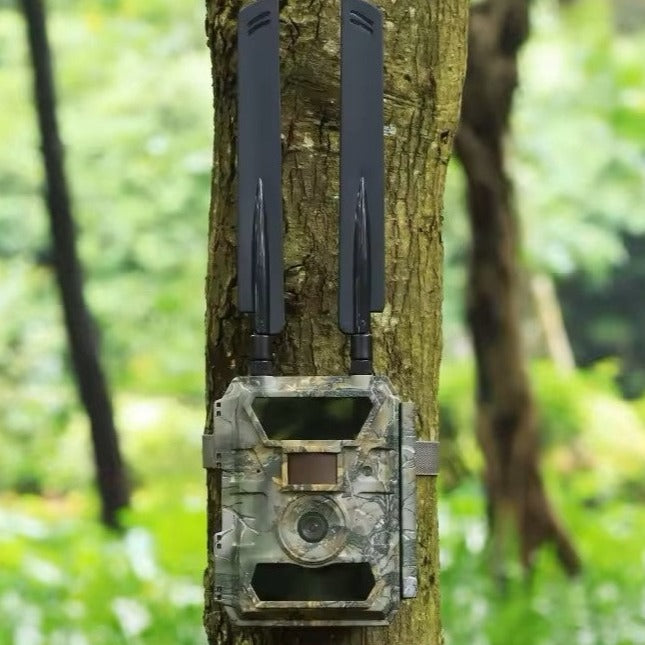 
                      
                        Accura 4G Trail Camera
                      
                    