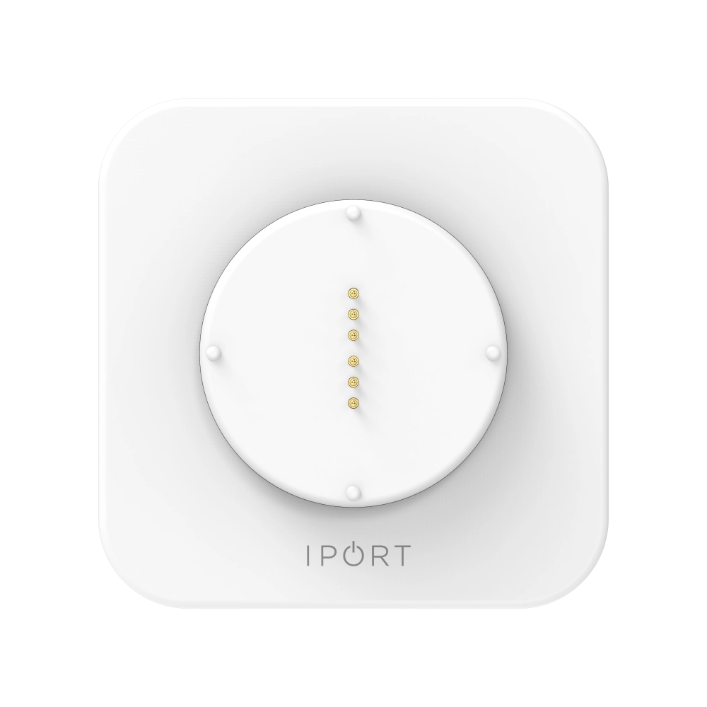 IPort Wallstation